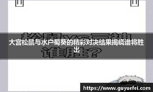 大宫松鼠与水户蜀葵的精彩对决结果揭晓谁将胜出